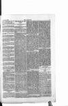 Dublin Weekly Nation Saturday 03 April 1897 Page 3