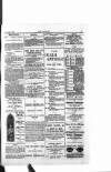 Dublin Weekly Nation Saturday 03 April 1897 Page 15