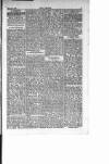 Dublin Weekly Nation Saturday 24 April 1897 Page 8