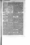 Dublin Weekly Nation Saturday 24 April 1897 Page 10