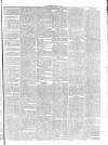 Warder and Dublin Weekly Mail Saturday 15 May 1869 Page 3