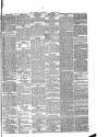 Warder and Dublin Weekly Mail Saturday 21 February 1874 Page 5