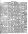 Warder and Dublin Weekly Mail Saturday 16 May 1874 Page 3