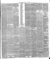 Warder and Dublin Weekly Mail Saturday 16 May 1874 Page 5