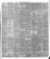 Warder and Dublin Weekly Mail Saturday 23 May 1874 Page 3