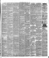 Warder and Dublin Weekly Mail Saturday 23 May 1874 Page 7