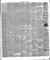 Warder and Dublin Weekly Mail Saturday 06 June 1874 Page 7