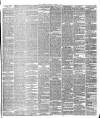 Warder and Dublin Weekly Mail Saturday 01 August 1874 Page 3