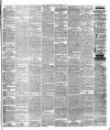 Warder and Dublin Weekly Mail Saturday 01 August 1874 Page 7