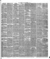 Warder and Dublin Weekly Mail Saturday 07 November 1874 Page 3