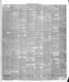 Warder and Dublin Weekly Mail Saturday 12 December 1874 Page 3