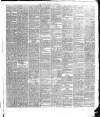 Warder and Dublin Weekly Mail Saturday 23 January 1875 Page 5