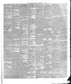 Warder and Dublin Weekly Mail Saturday 20 February 1875 Page 5