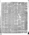 Warder and Dublin Weekly Mail Saturday 01 May 1875 Page 3