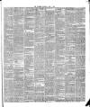 Warder and Dublin Weekly Mail Saturday 01 May 1875 Page 5
