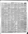 Warder and Dublin Weekly Mail Saturday 01 May 1875 Page 7