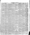 Warder and Dublin Weekly Mail Saturday 15 May 1875 Page 5