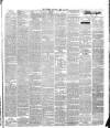 Warder and Dublin Weekly Mail Saturday 15 May 1875 Page 7