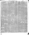 Warder and Dublin Weekly Mail Saturday 22 May 1875 Page 5