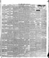 Warder and Dublin Weekly Mail Saturday 29 May 1875 Page 7