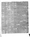 Warder and Dublin Weekly Mail Saturday 10 February 1877 Page 5