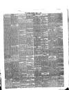 Warder and Dublin Weekly Mail Saturday 21 April 1877 Page 3