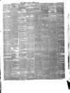 Warder and Dublin Weekly Mail Saturday 20 October 1877 Page 7