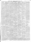 Ballymena Observer Saturday 11 June 1864 Page 3