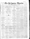 Ballymena Observer Saturday 24 March 1866 Page 1