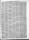 Ballymena Observer Saturday 08 April 1876 Page 3