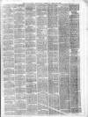 Ballymena Observer Saturday 29 April 1876 Page 3
