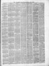 Ballymena Observer Saturday 06 January 1877 Page 3