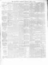 Ballymena Observer Saturday 10 April 1880 Page 3
