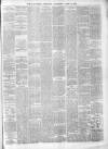 Ballymena Observer Saturday 15 April 1882 Page 3