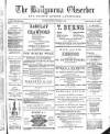 Ballymena Observer Saturday 27 December 1884 Page 1