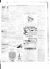 Ballymena Observer Saturday 21 April 1888 Page 3