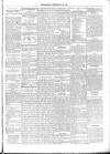 Ballymena Observer Friday 20 July 1888 Page 5