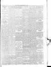 Ballymena Observer Friday 08 February 1889 Page 5