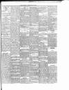 Ballymena Observer Friday 29 March 1889 Page 5