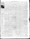 Ballymena Observer Friday 21 June 1889 Page 7