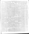 Ballymena Observer Friday 20 January 1893 Page 5