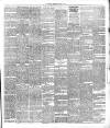 Ballymena Observer Friday 14 April 1893 Page 3