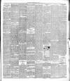 Ballymena Observer Friday 30 June 1893 Page 3