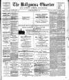 Ballymena Observer Friday 15 September 1893 Page 1