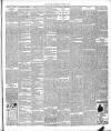 Ballymena Observer Friday 10 November 1893 Page 7