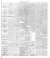 Ballymena Observer Friday 05 January 1894 Page 5
