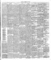 Ballymena Observer Friday 31 May 1895 Page 3