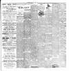 Ballymena Observer Friday 07 April 1899 Page 4