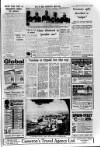 Ballymena Observer Thursday 03 February 1966 Page 12