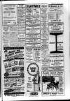 Ballymena Observer Thursday 24 March 1966 Page 9